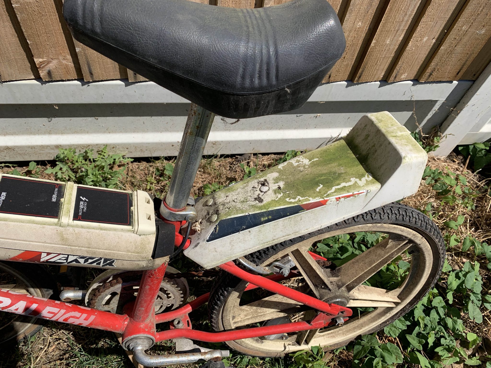 raleigh vektar